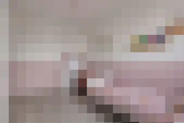 De Droge Kreek 3 Hulst thumbnail 19