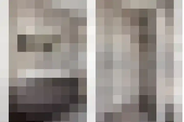 De Droge Kreek 3 Hulst thumbnail 21