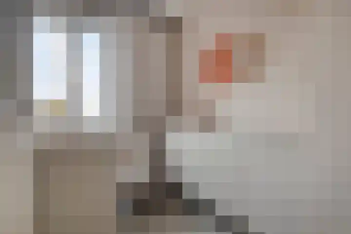De Droge Kreek 3 Hulst thumbnail 23