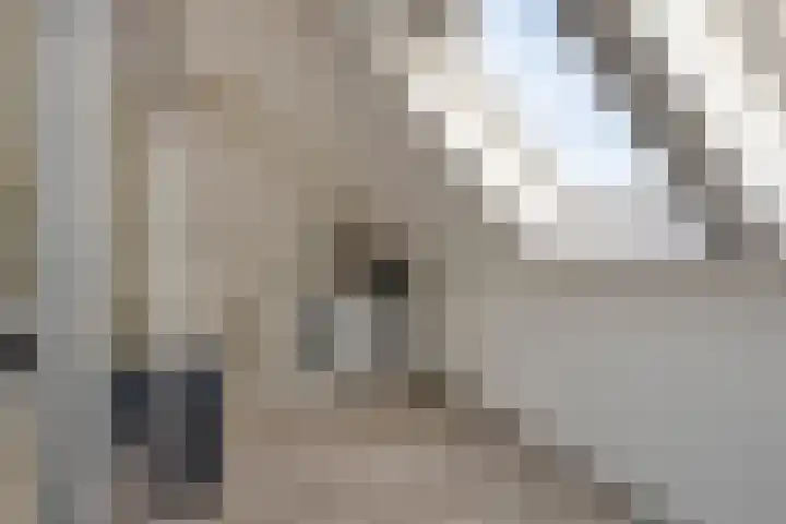 De Droge Kreek 3 Hulst thumbnail 25