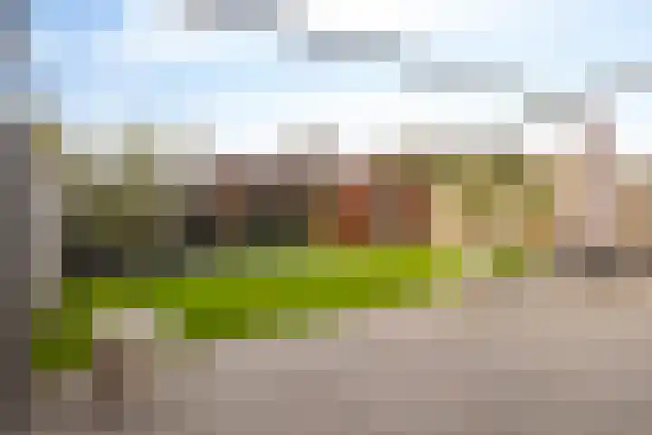 De Droge Kreek 3 Hulst thumbnail 27