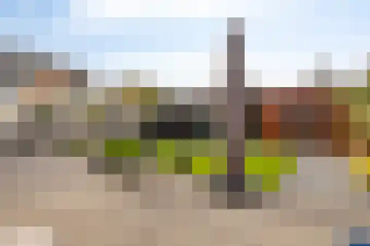 De Droge Kreek 3 Hulst thumbnail 28