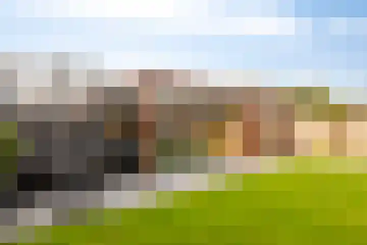 De Droge Kreek 3 Hulst thumbnail 29