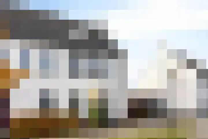 De Droge Kreek 3 Hulst thumbnail 33