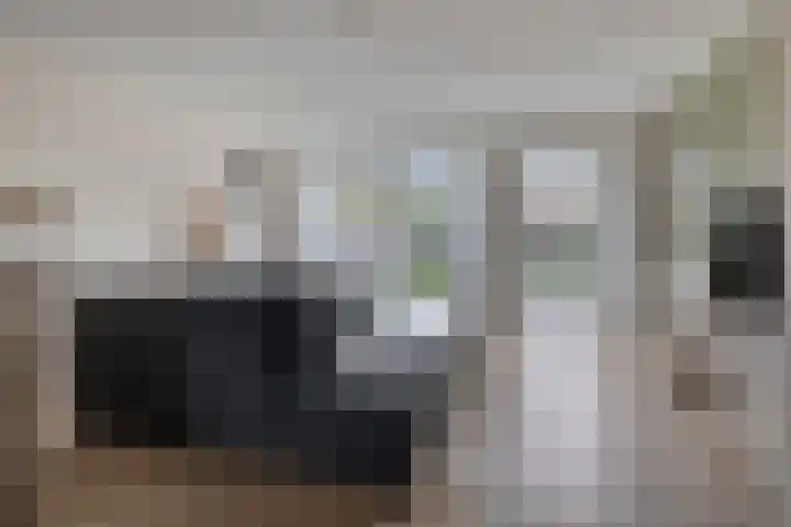 De Droge Kreek 3 Hulst thumbnail 8