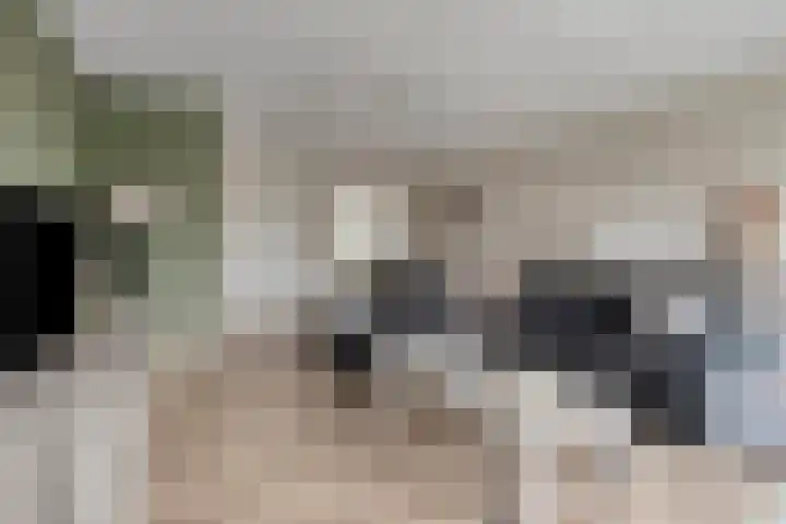 De Droge Kreek 3 Hulst thumbnail 9
