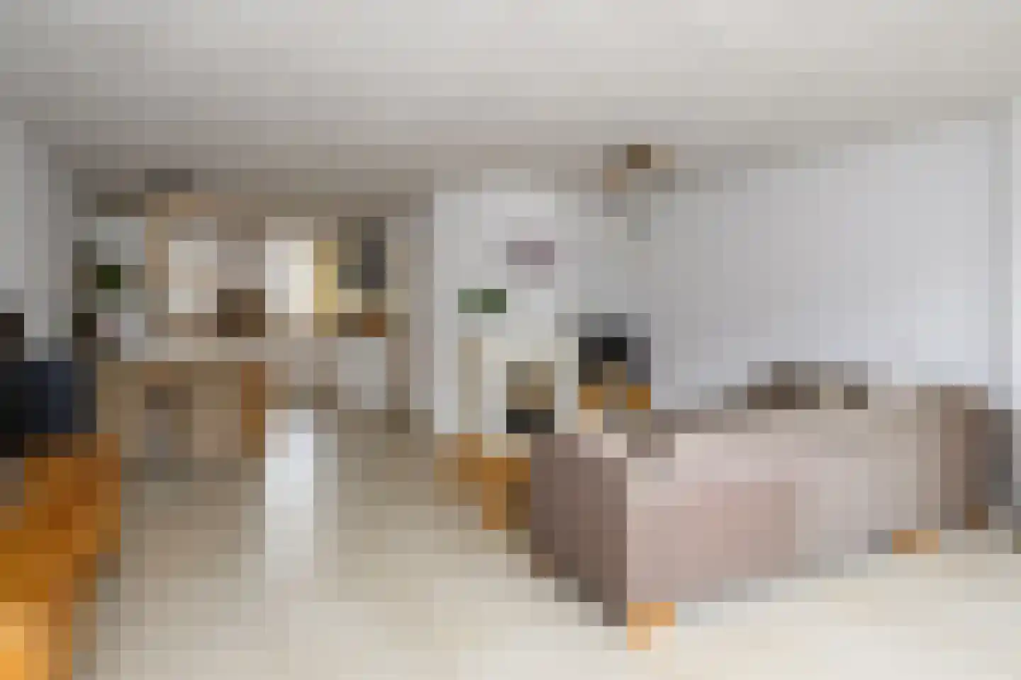 De Drost 3 Huizen thumbnail 11