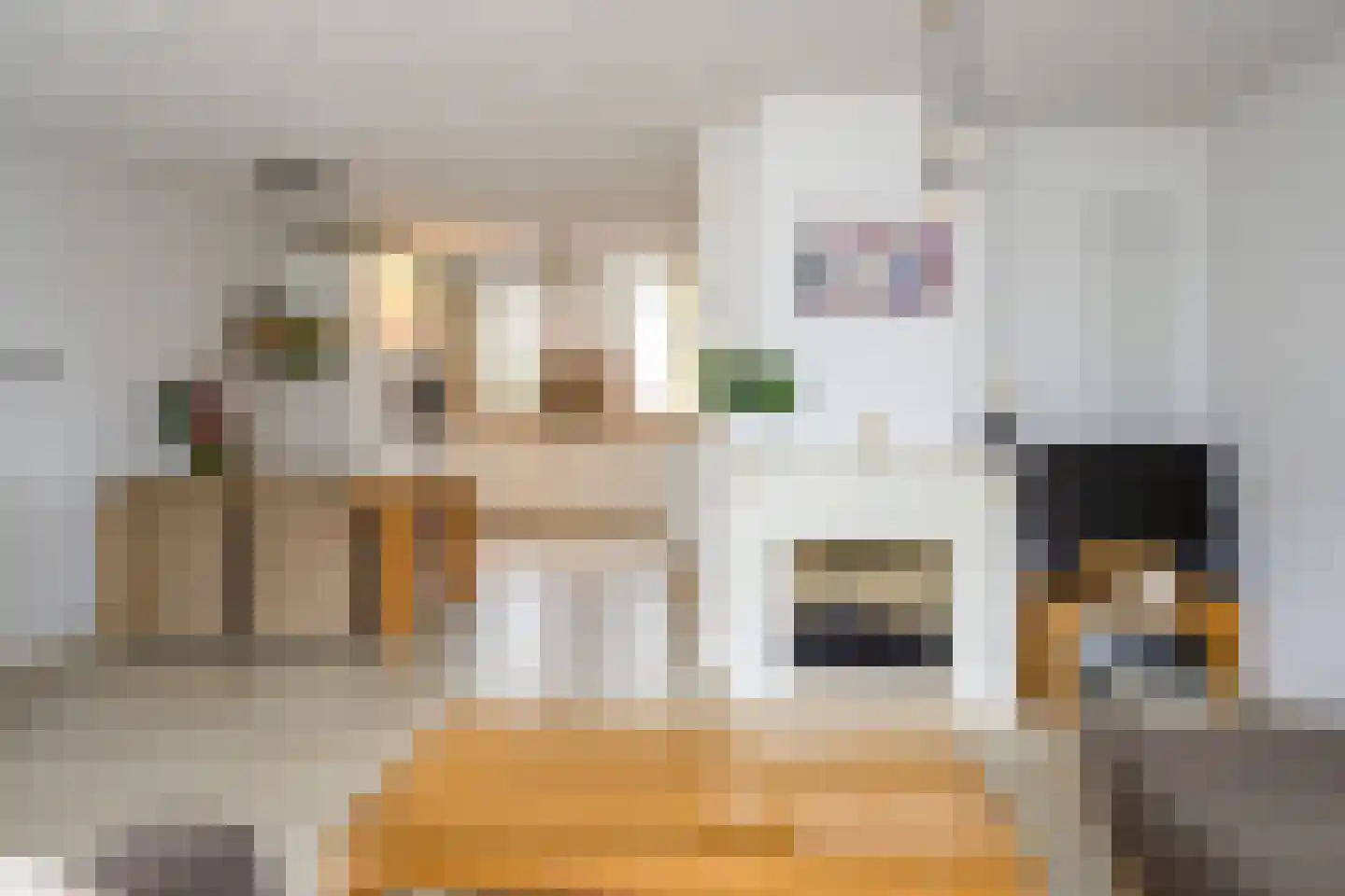 De Drost 3 Huizen thumbnail 12