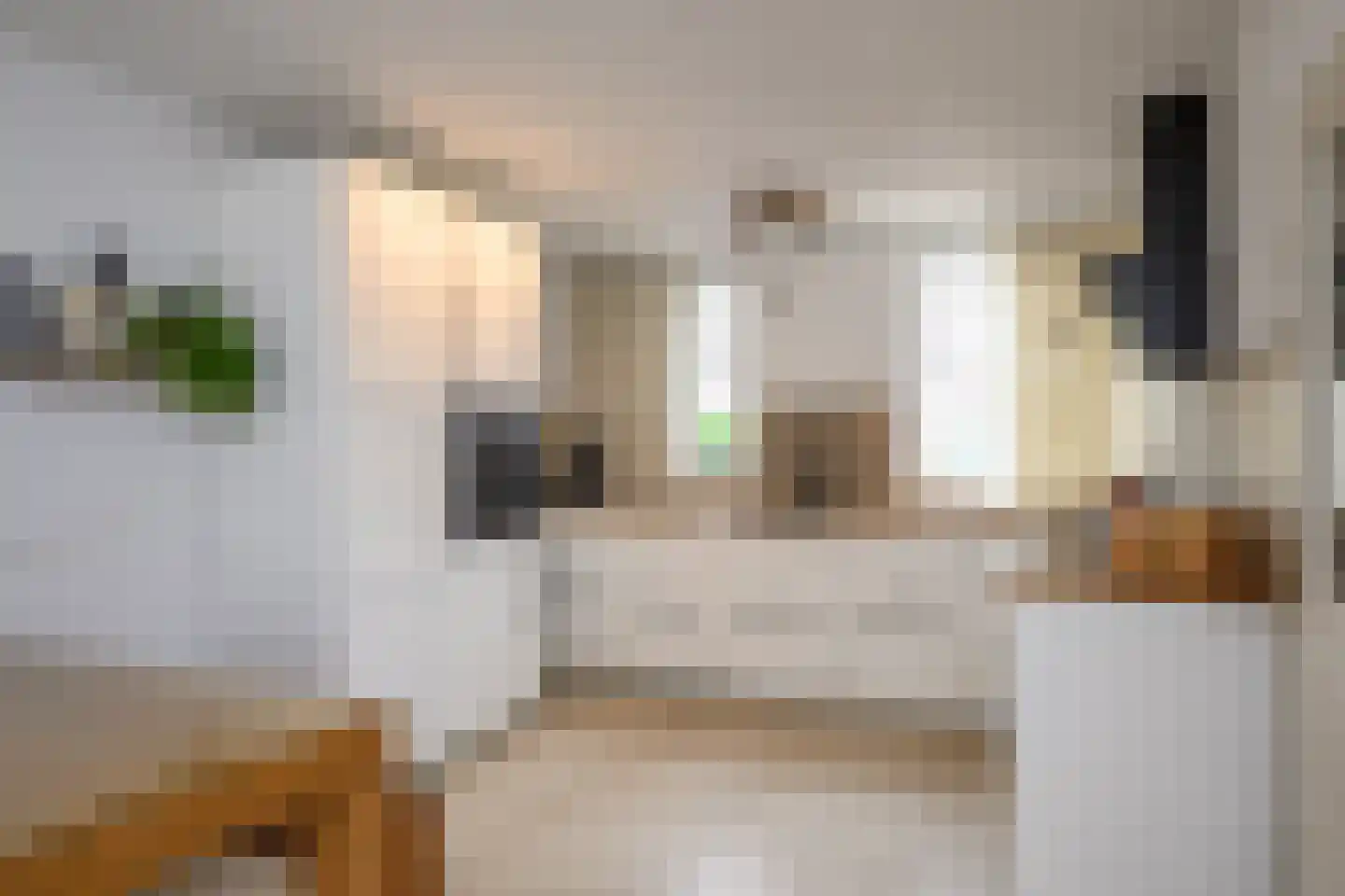 De Drost 3 Huizen thumbnail 13