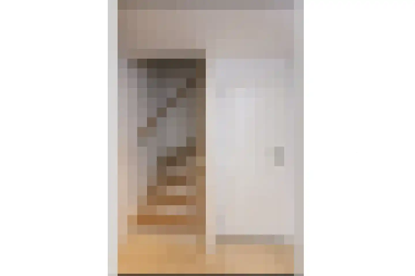 De Drost 3 Huizen thumbnail 15