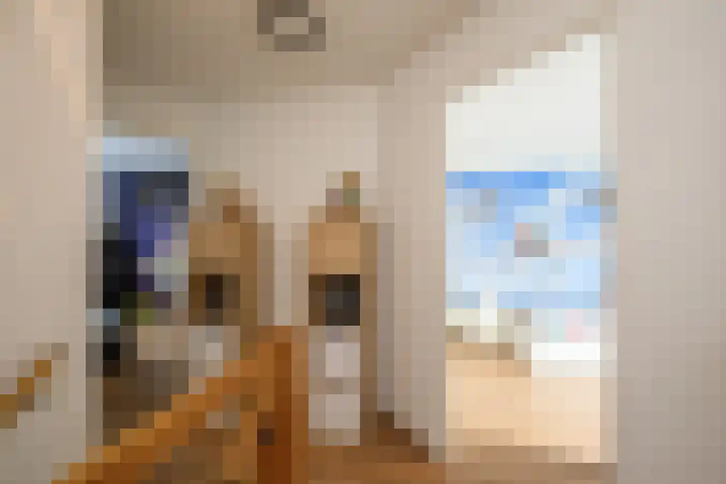 De Drost 3 Huizen thumbnail 16