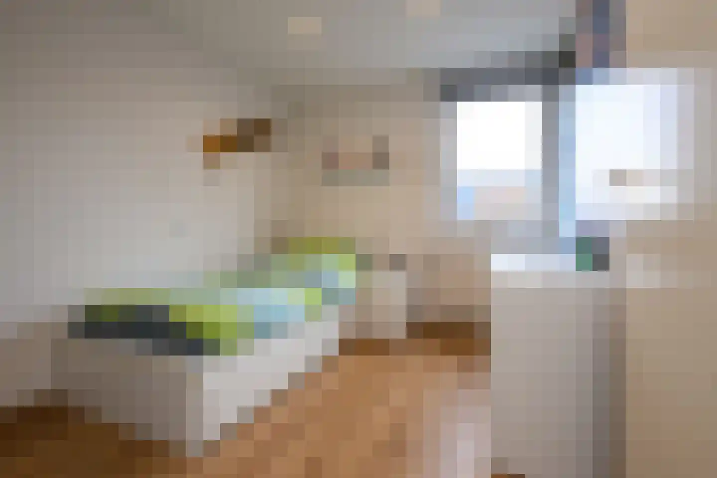 De Drost 3 Huizen thumbnail 20