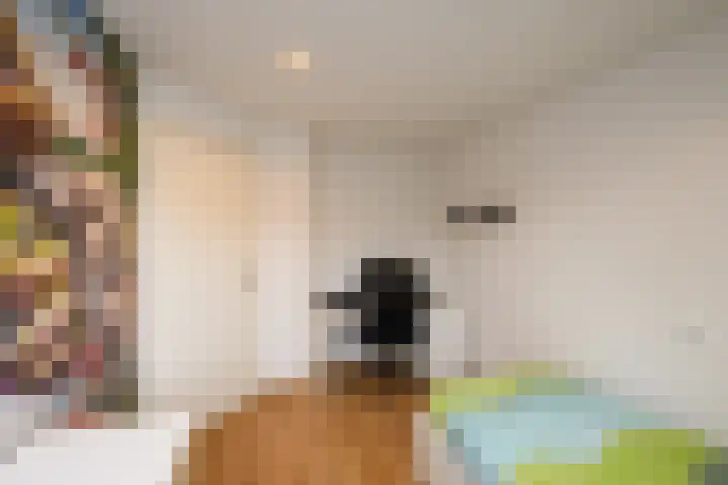 De Drost 3 Huizen thumbnail 21