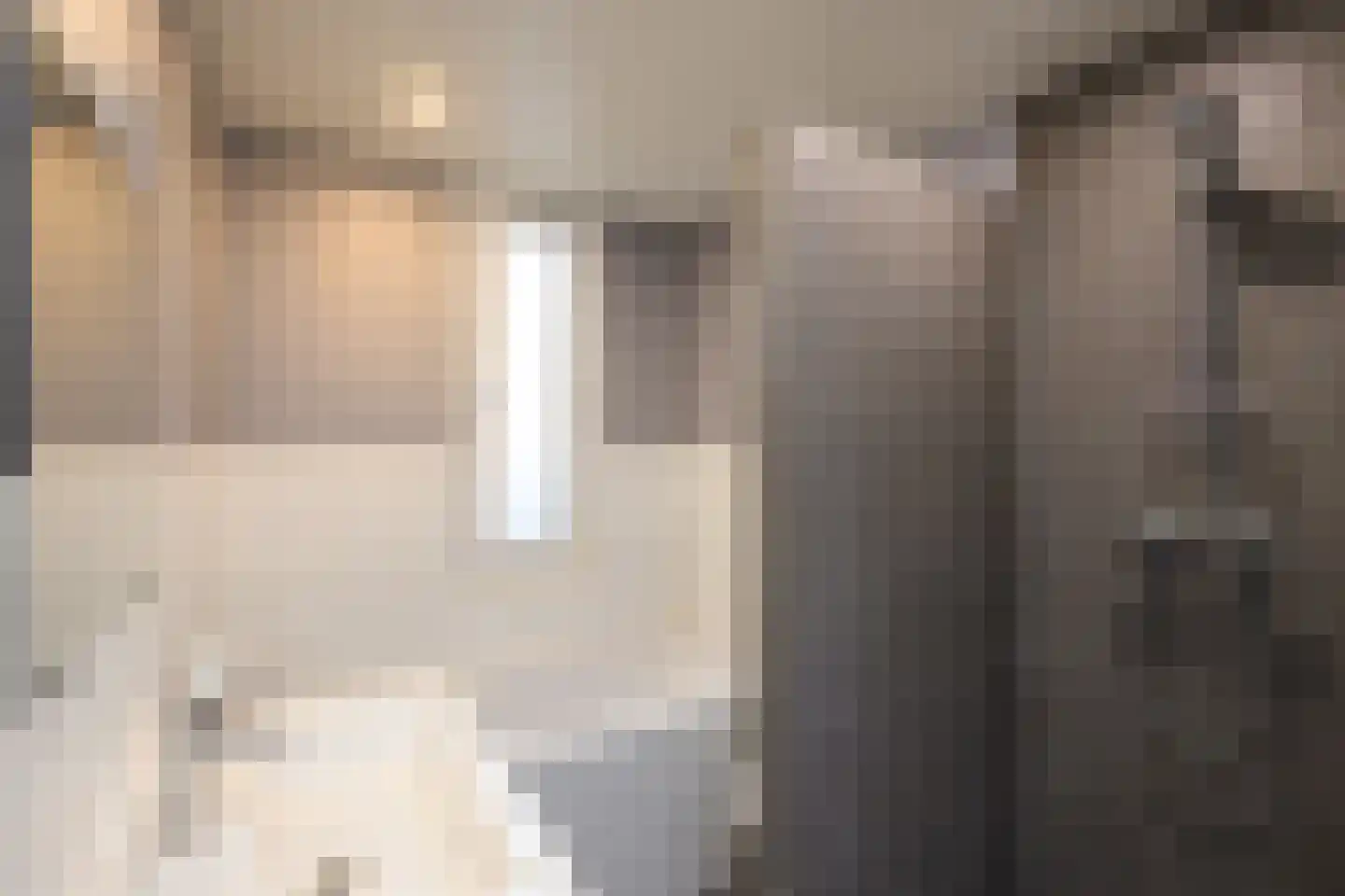 De Drost 3 Huizen thumbnail 24