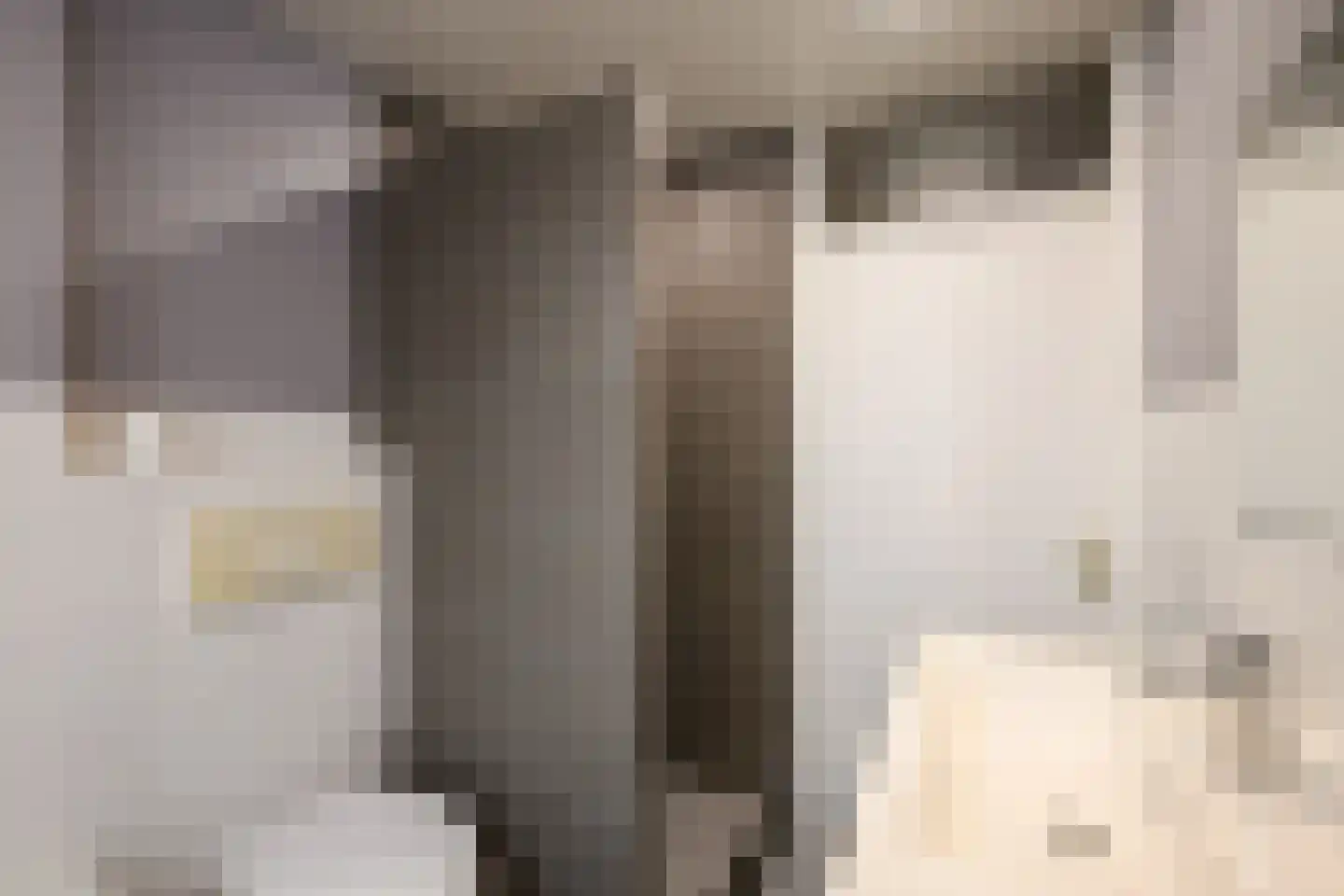 De Drost 3 Huizen thumbnail 25