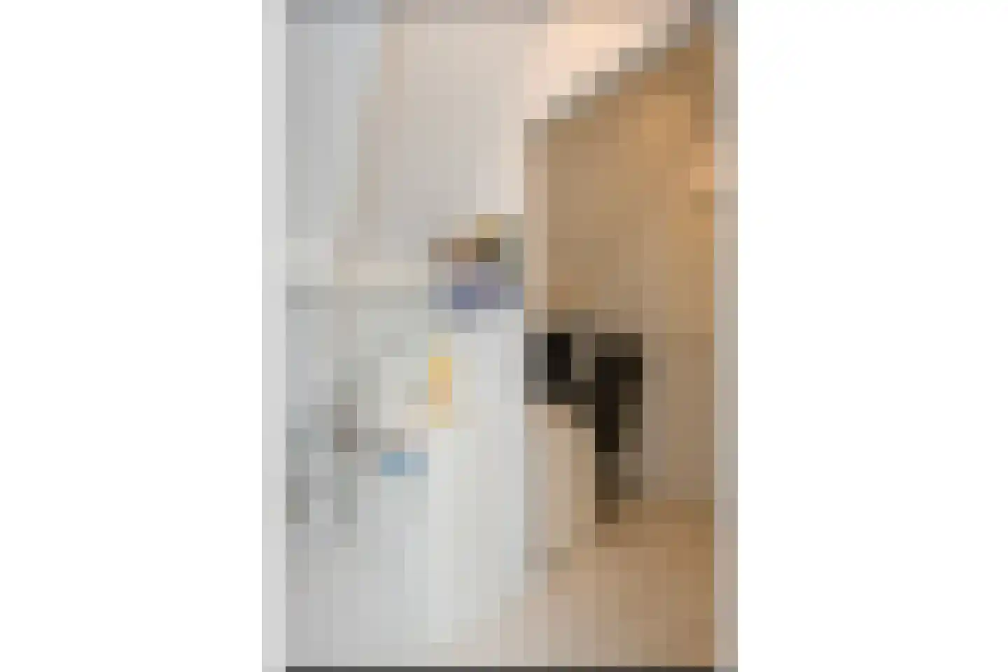 De Drost 3 Huizen thumbnail 27