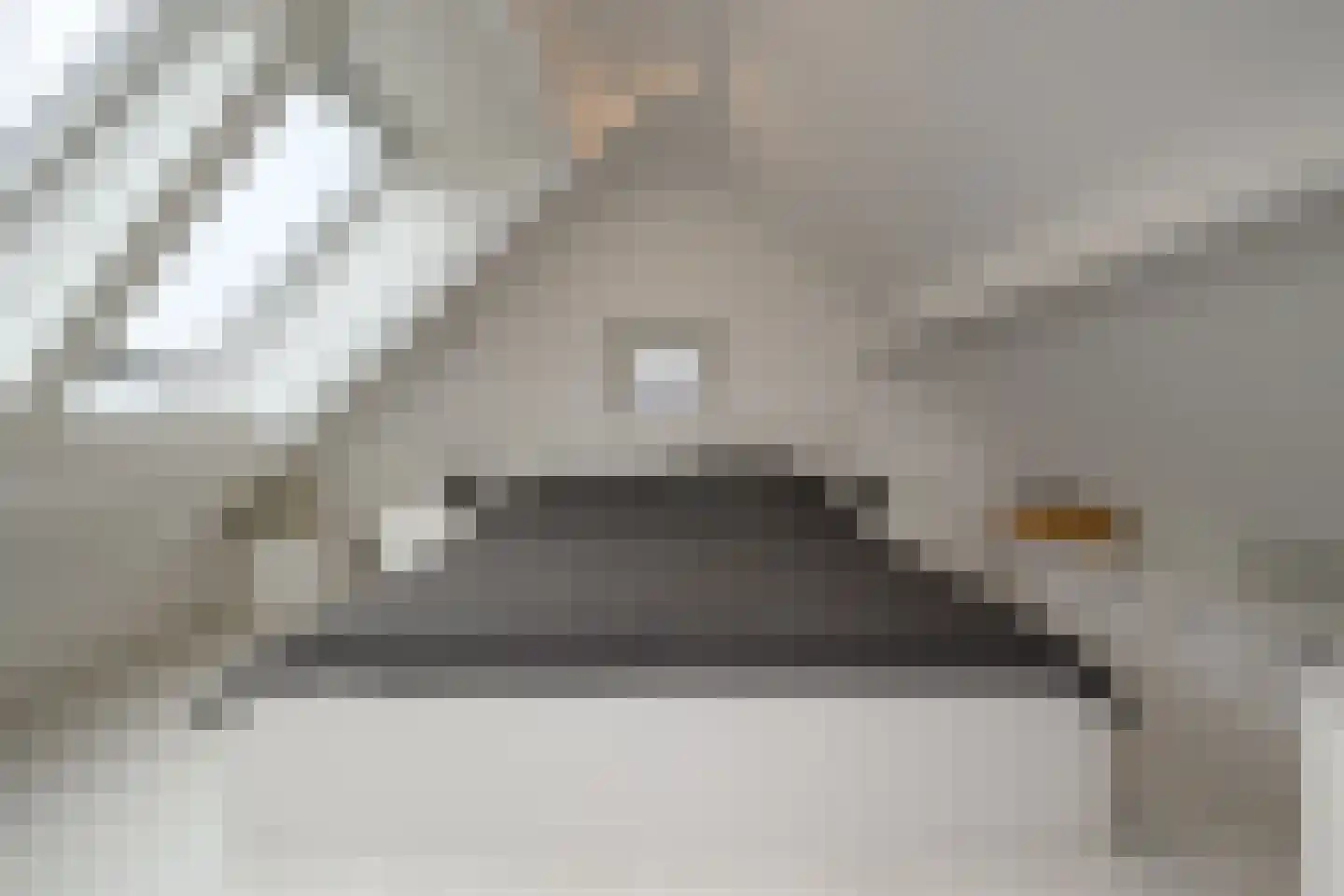 De Drost 3 Huizen thumbnail 28