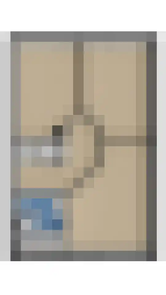 De Drost 3 Huizen thumbnail 38