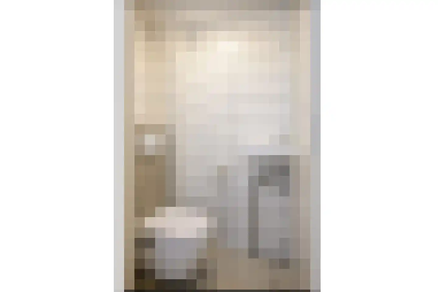 De Drost 3 Huizen thumbnail 5