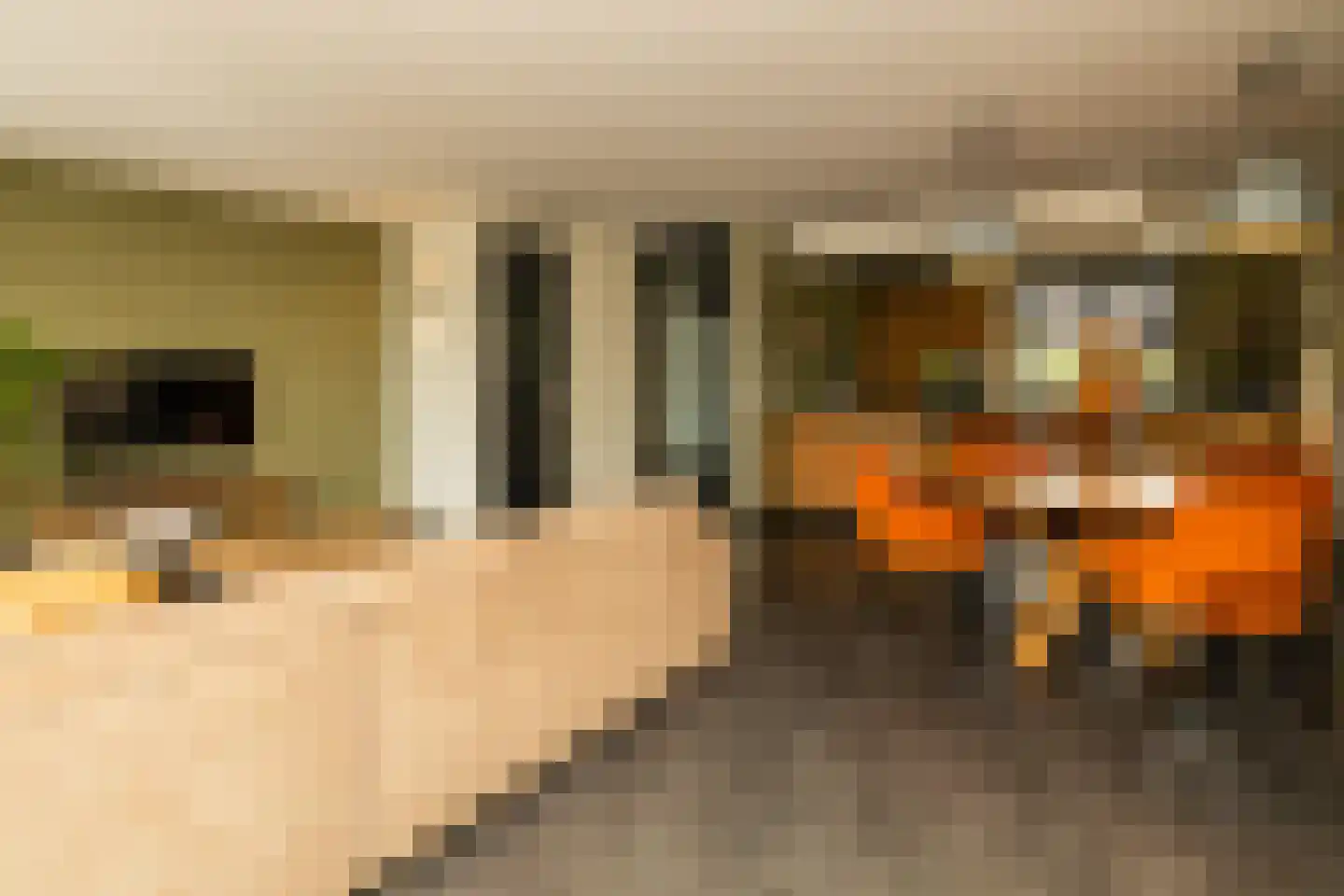 De Druivenmuur 1 Kwintsheul thumbnail 10