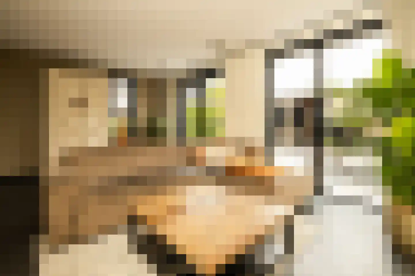 De Druivenmuur 1 Kwintsheul thumbnail 11