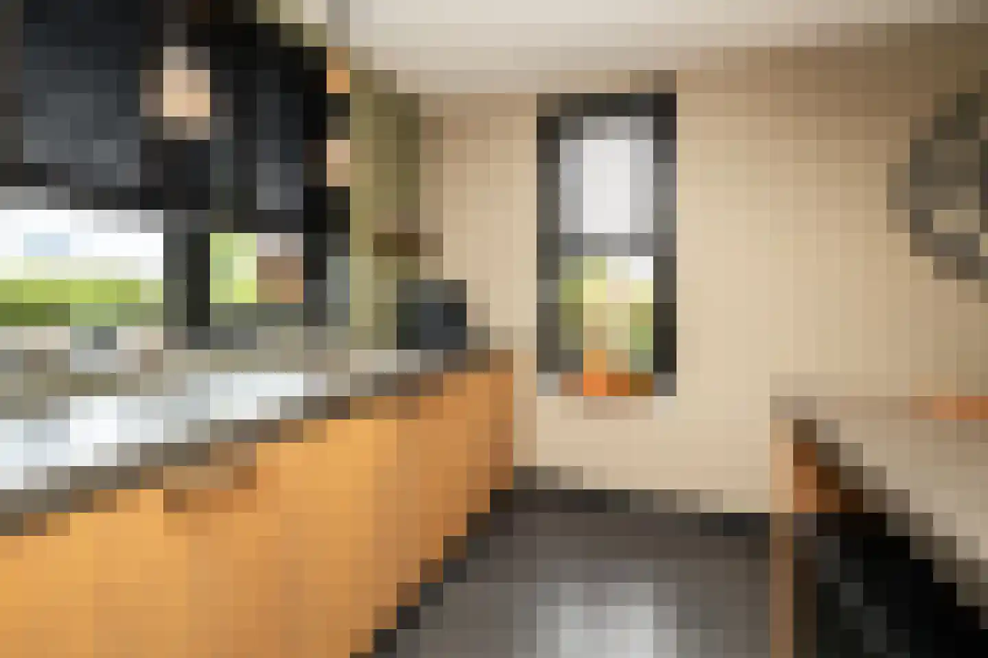 De Druivenmuur 1 Kwintsheul thumbnail 15