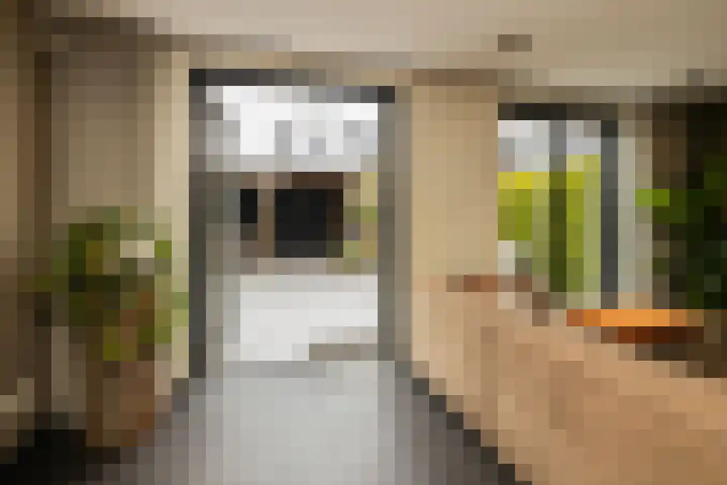 De Druivenmuur 1 Kwintsheul thumbnail 17