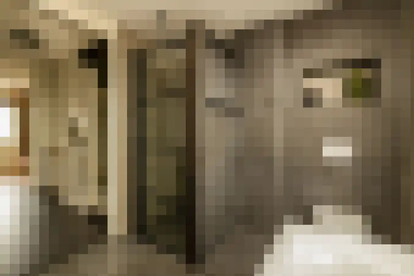 De Druivenmuur 1 Kwintsheul thumbnail 28