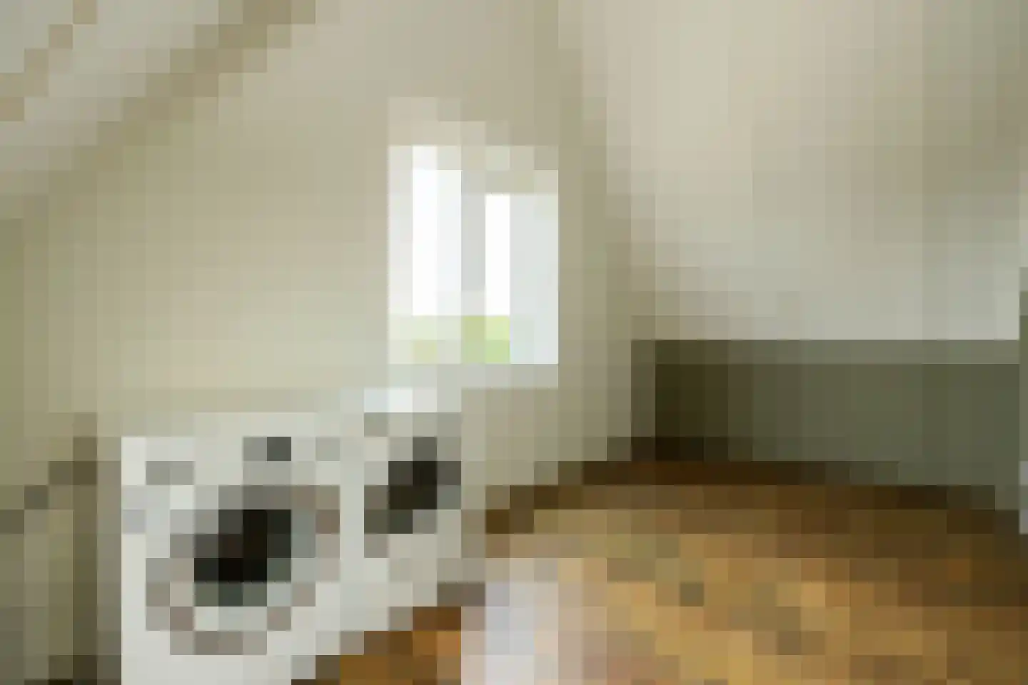 De Druivenmuur 1 Kwintsheul thumbnail 33