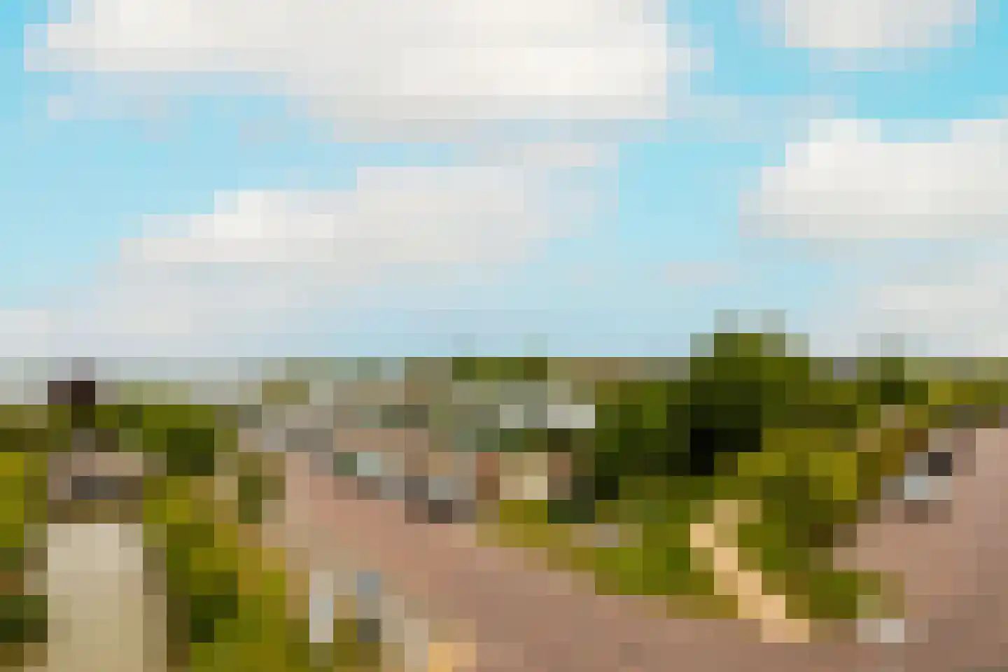 De Druivenmuur 1 Kwintsheul thumbnail 35