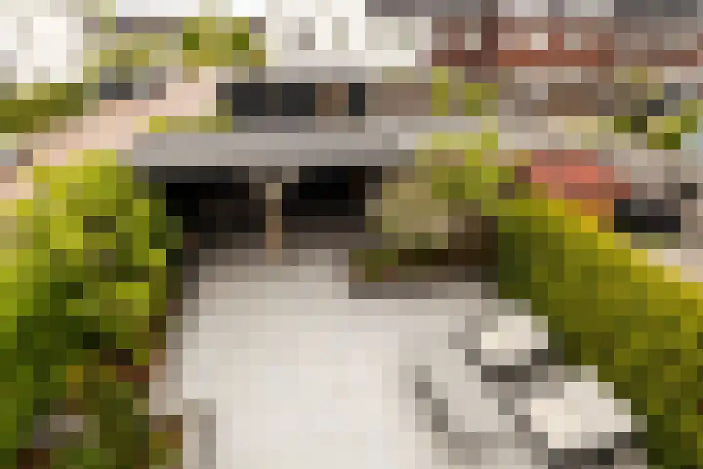De Druivenmuur 1 Kwintsheul thumbnail 36