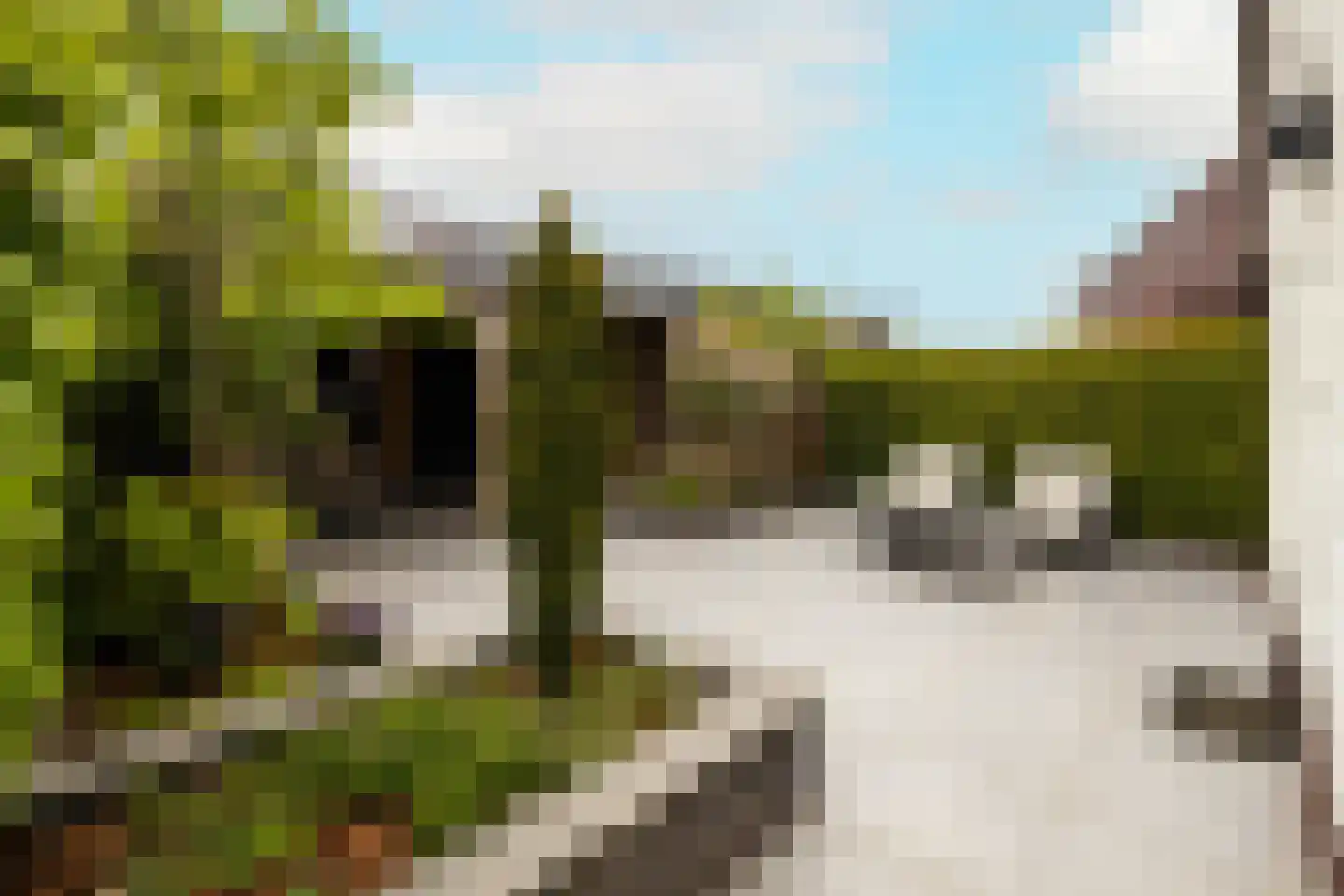 De Druivenmuur 1 Kwintsheul thumbnail 37