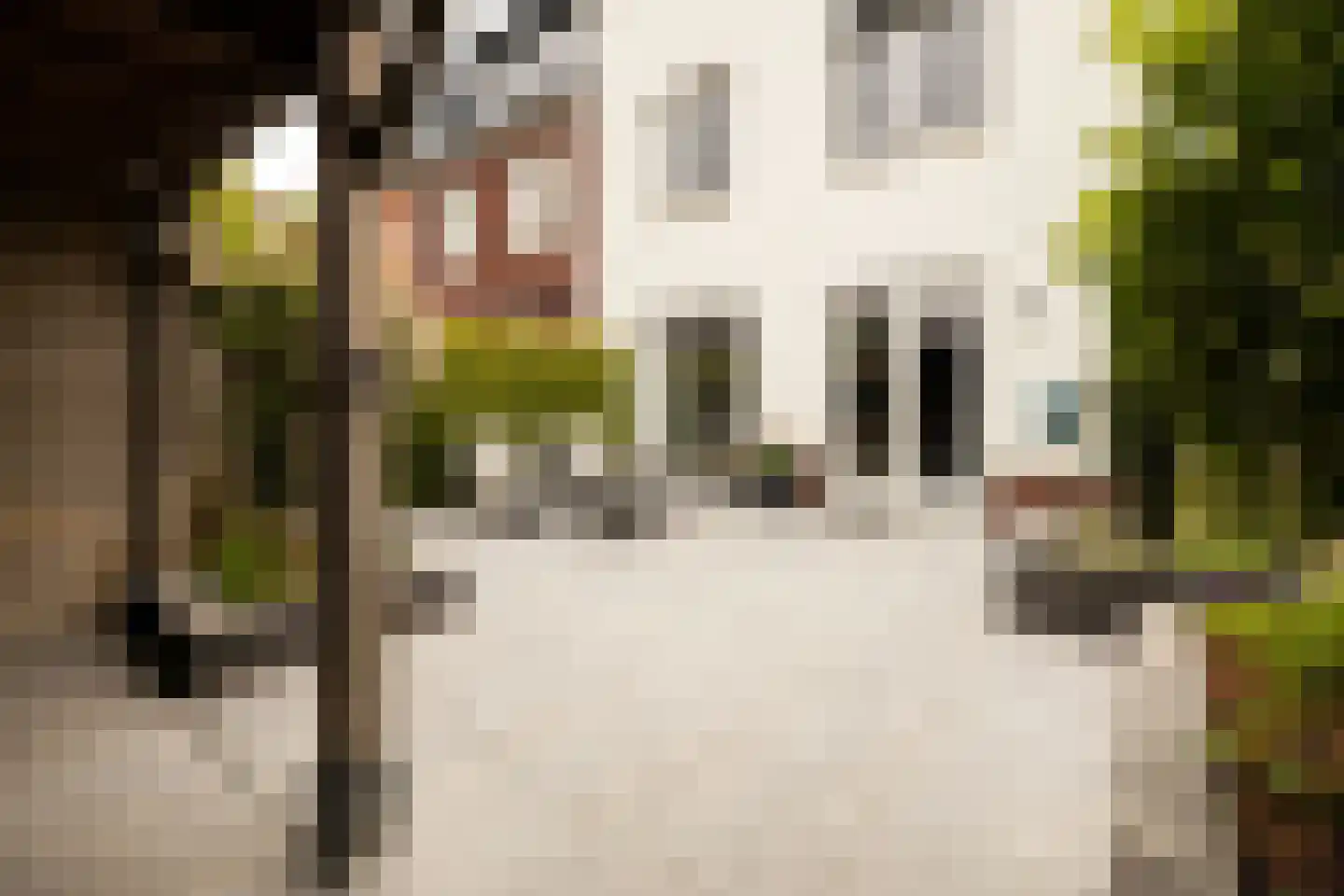 De Druivenmuur 1 Kwintsheul thumbnail 39