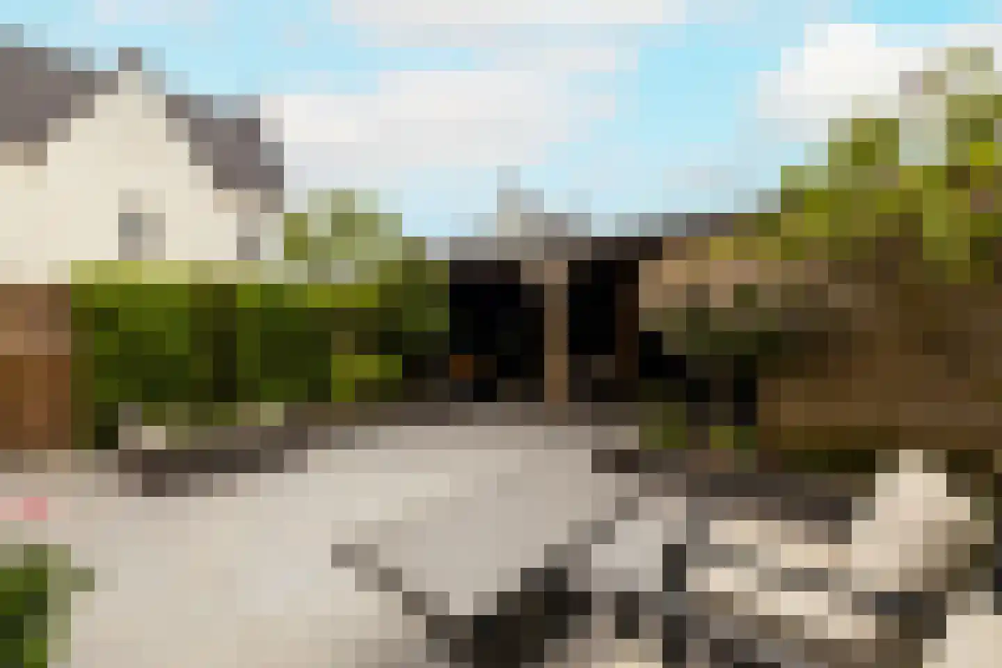 De Druivenmuur 1 Kwintsheul thumbnail 4
