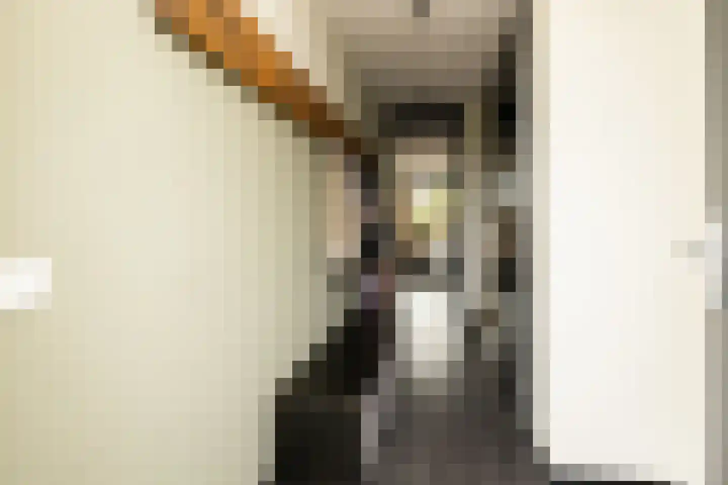 De Druivenmuur 1 Kwintsheul thumbnail 7