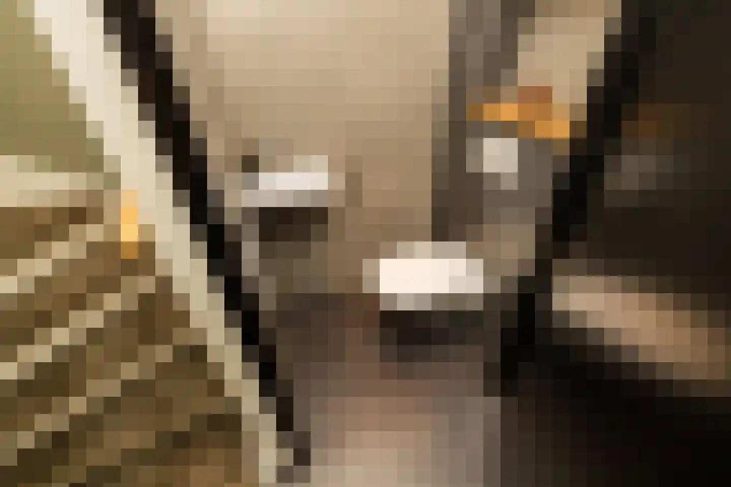 De Druivenmuur 1 Kwintsheul thumbnail 8