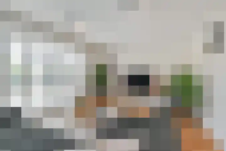 De Druiventrap 17 Wateringen thumbnail 11