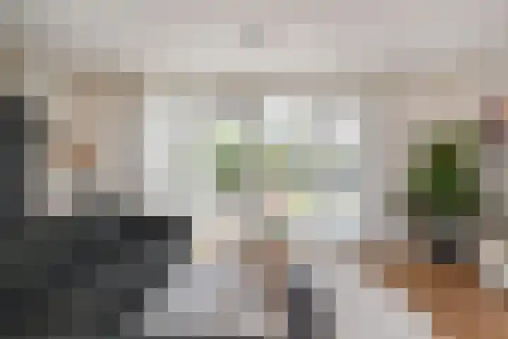 De Druiventrap 17 Wateringen thumbnail 12