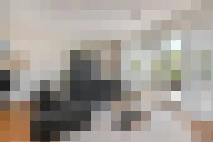 De Druiventrap 17 Wateringen thumbnail 13