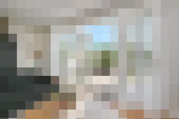 De Druiventrap 17 Wateringen thumbnail 15