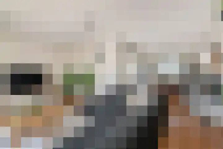 De Druiventrap 17 Wateringen thumbnail 17