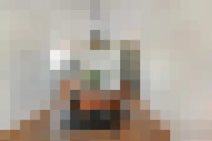 De Druiventrap 17 Wateringen thumbnail 18
