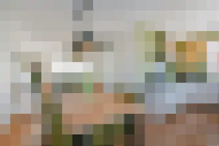 De Druiventrap 17 Wateringen thumbnail 21