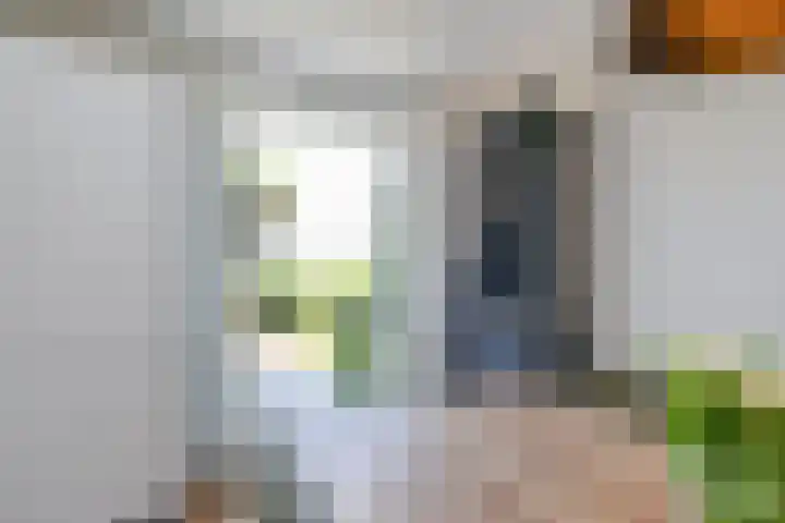 De Druiventrap 17 Wateringen thumbnail 23