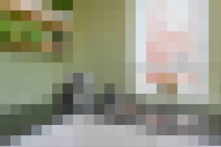 De Druiventrap 17 Wateringen thumbnail 25