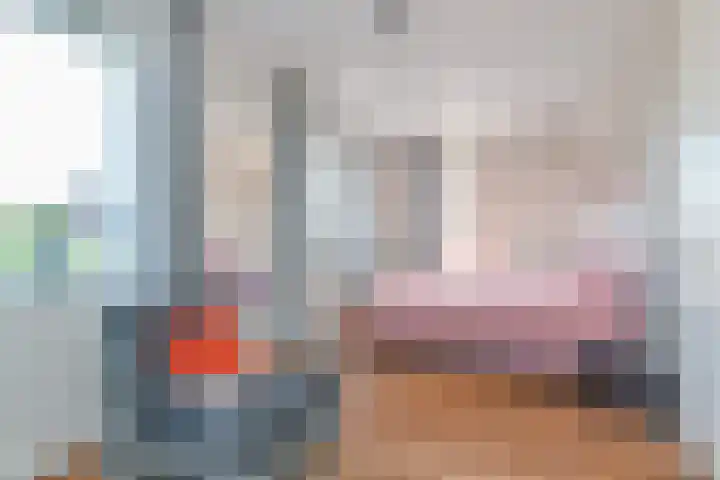 De Druiventrap 17 Wateringen thumbnail 28