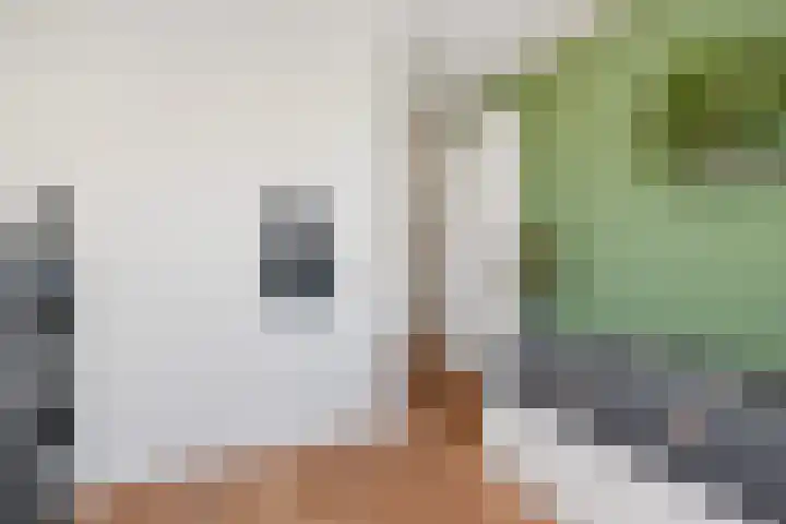 De Druiventrap 17 Wateringen thumbnail 31