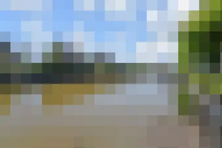 De Druiventrap 17 Wateringen thumbnail 4