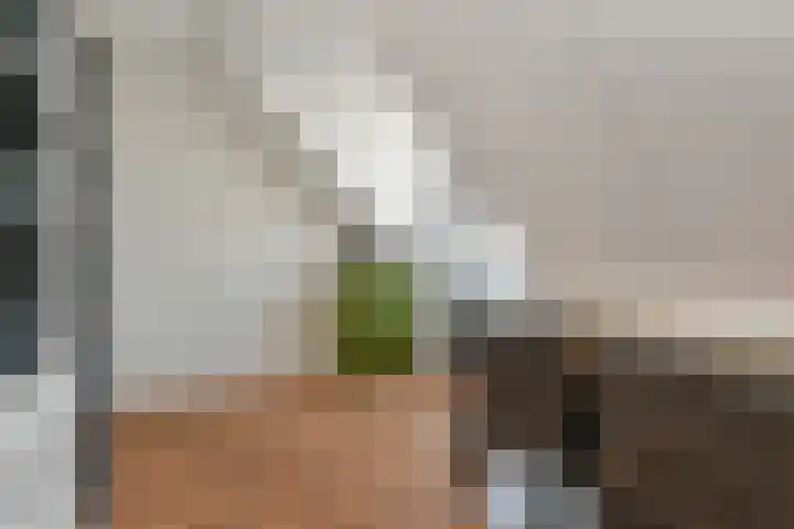 De Druiventrap 17 Wateringen thumbnail 40