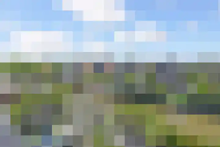De Druiventrap 17 Wateringen thumbnail 47